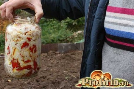 Мухоморы в банке