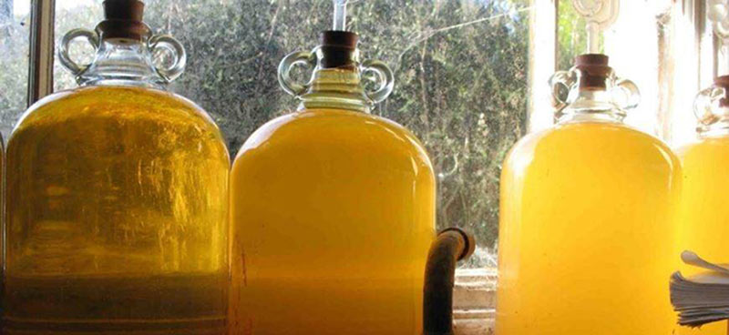 Медовая брага для самогона
