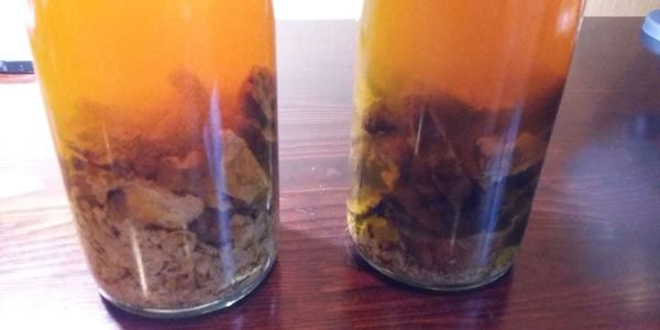 настойка желчи на воде