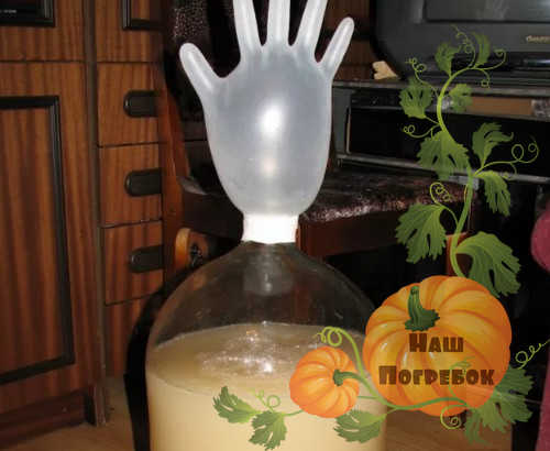 вино-с-перчаткой