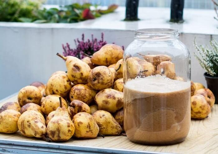 грушевое вино в домашних условиях простой рецепт