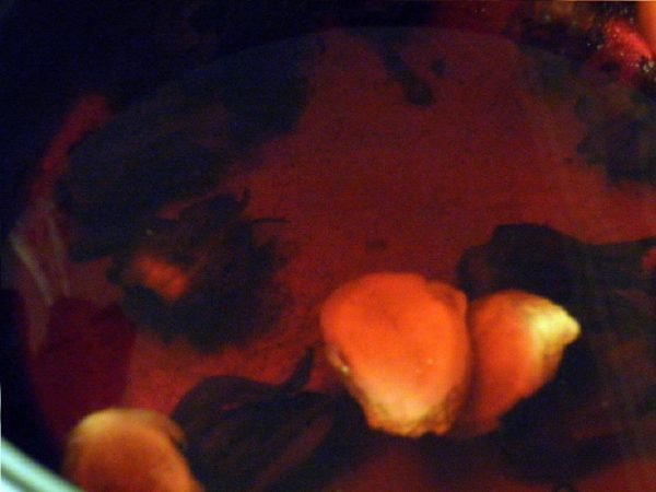 Гибискус со специями в воде