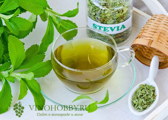 настойка-из-черноплодной-рябины 10