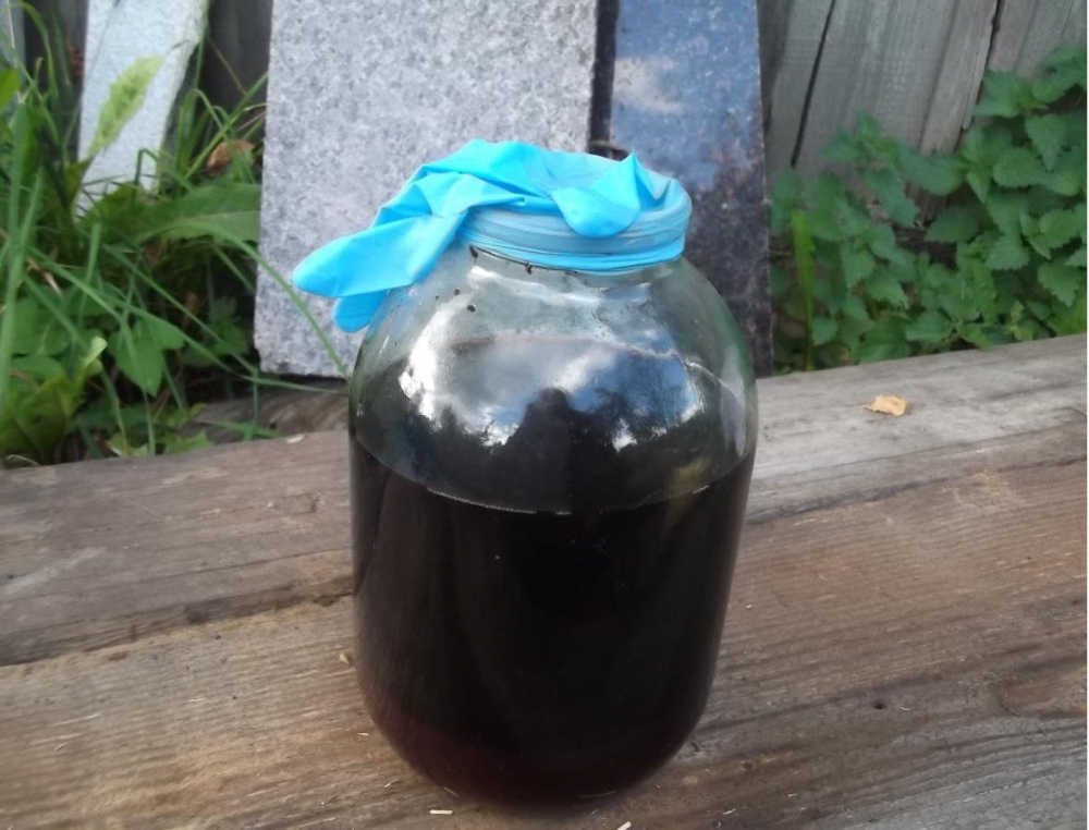 Домашнее вино не бродит: причины, что делать