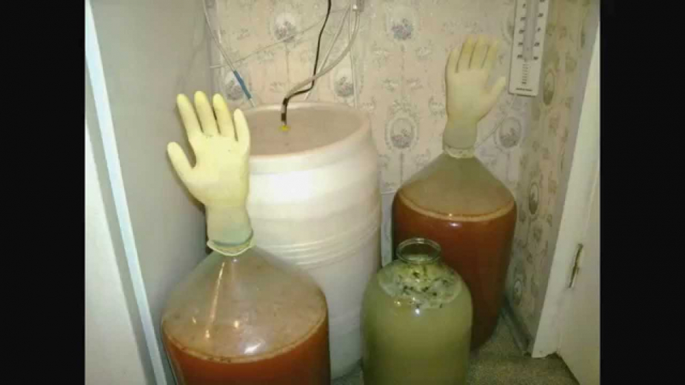 Ловушка для запаха своими руками - YouTube