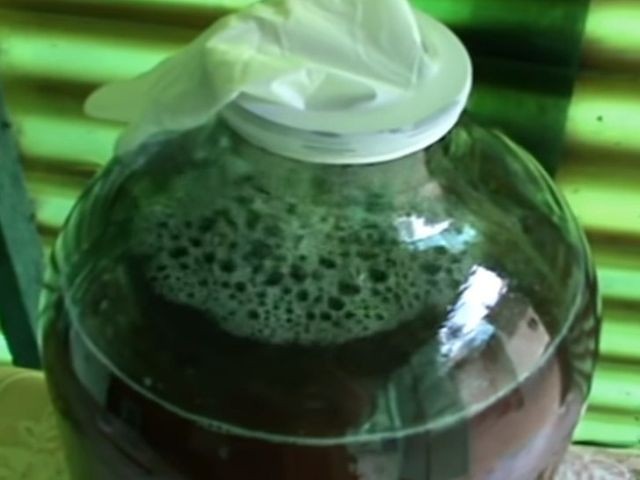 винная банка