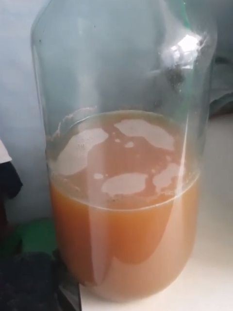 вино в бутылках