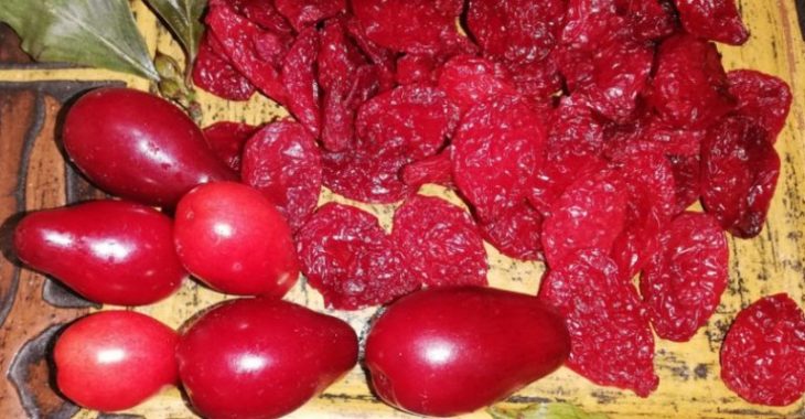 Сушеный кизил