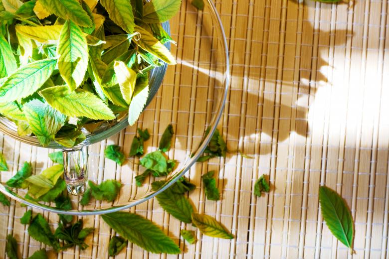 Женьшень - корень жизни, суперпродукт против старения. Полезные свойства, противопоказания