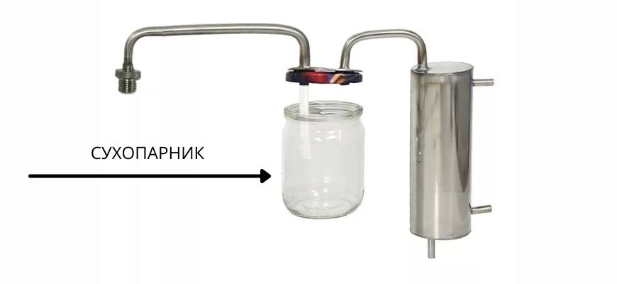 сухопарник