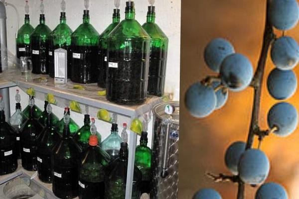 кладовая в подвале