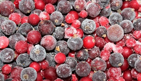 Клюквенная настойка, рецепт самогона