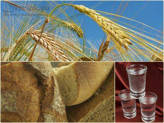 Полугар (хлебное вино), как его пить