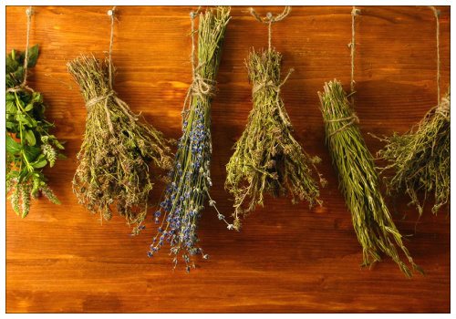 Сушеные травы