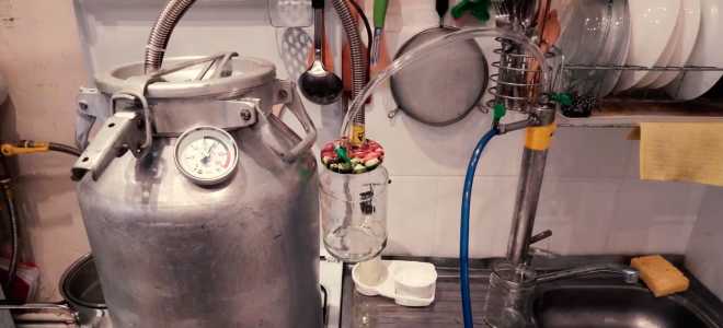 Как из фляги (молочного бидона) сделать достойный самогонный аппарат