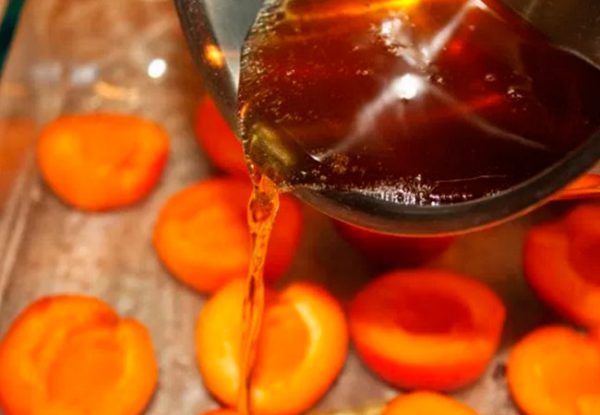 Абрикосовое вино в домашних условиях по простому рецепту