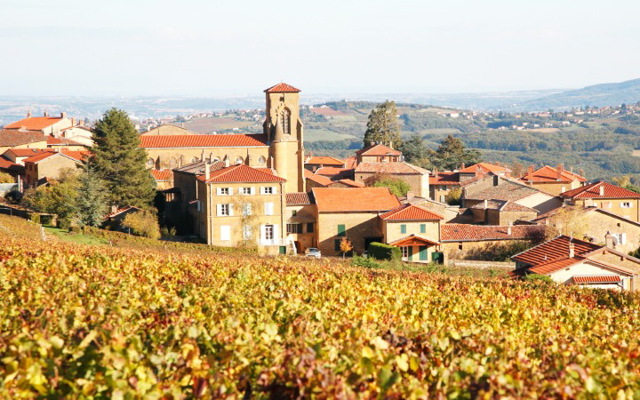 Божоле нуво – ноябрьский праздник молодого французского вина