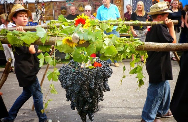 Божоле нуво – ноябрьский праздник молодого французского вина