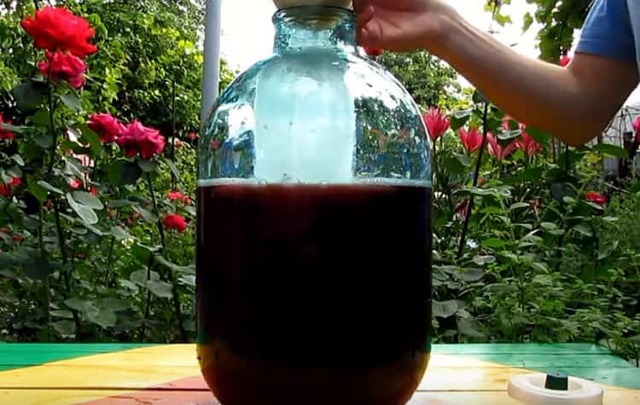 Брага из компота с сахаром и без - рецепт самогона