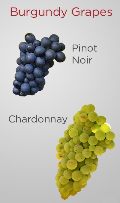 Бургундские вина: особенности, история, классификация, марки