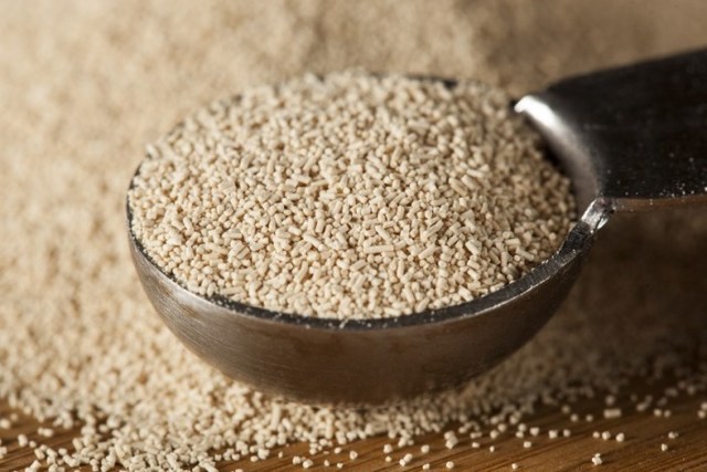 Что делать если брага перестала играть – 6 решений проблемы