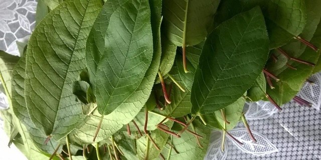 Домашнее вино из черемухи по проверенному рецепту