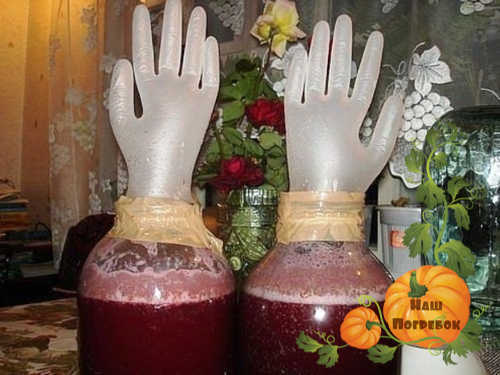 Домашнее вино из дыни по проверенному рецепту