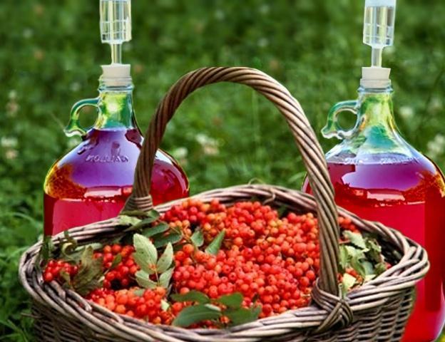 Домашнее вино из калины – рецепт и технология приготовления