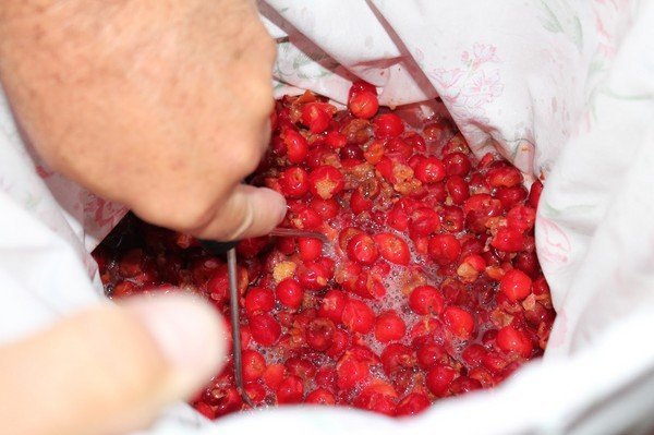 Домашние рецепты вишни (черешни) в вине