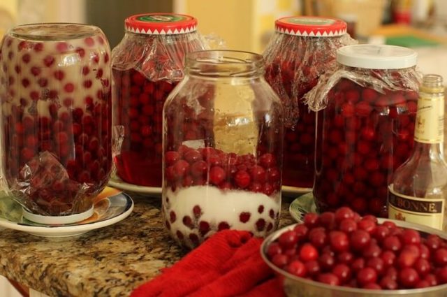 Домашние рецепты вишни (черешни) в вине