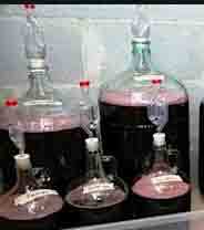 Домашние рецепты вишни (черешни) в вине