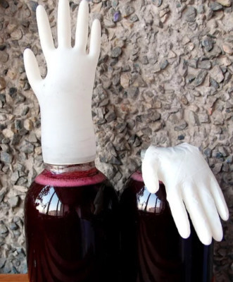 Фруктовая брага не хочет бродить или остановилась