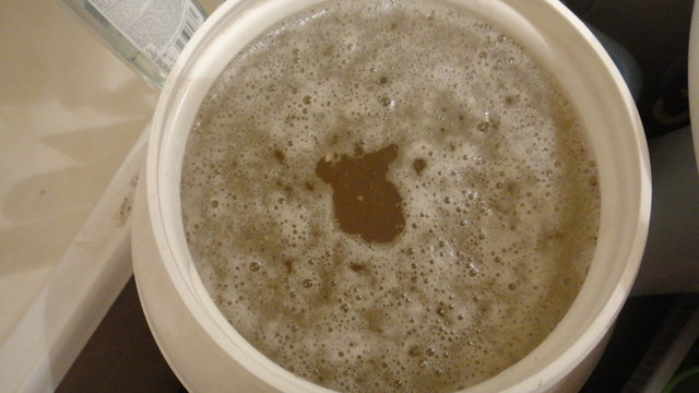 Как правильно вносить сахар в брагу из фруктов