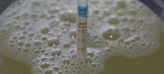 Как узнать крепость сусла (фруктовой браги)