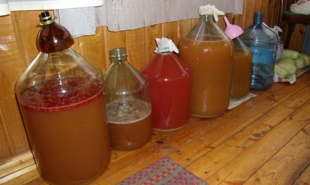 Лучшая емкость для фруктовой браги