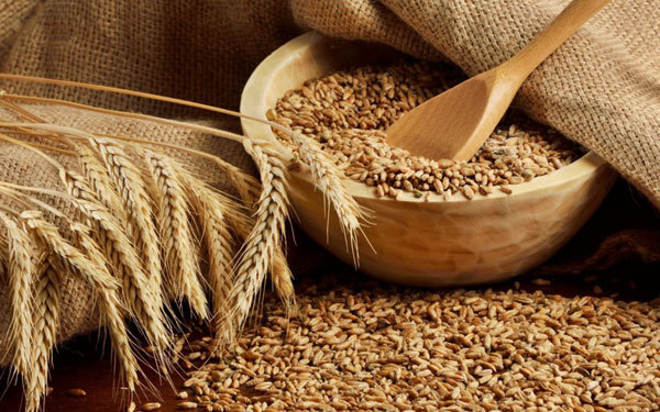 Лучшая емкость для зерновой браги