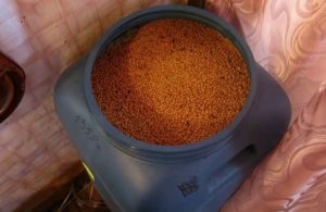 Брага на зерне