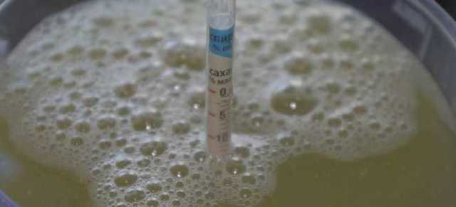 Несладкая брага продолжает булькать (выделять газ): что делать