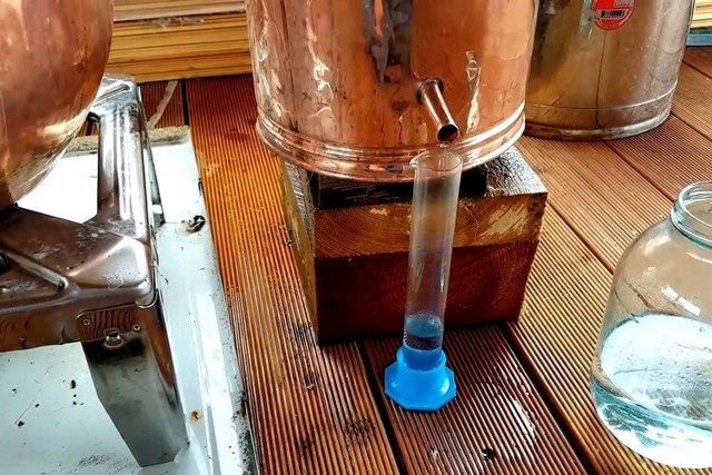 Простой самогон из слив - рецепт браги и перегонка