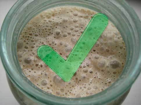 Самогон из ананасов – рецепт браги с сахаром и без