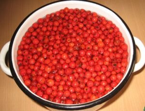 Очищенная рябина