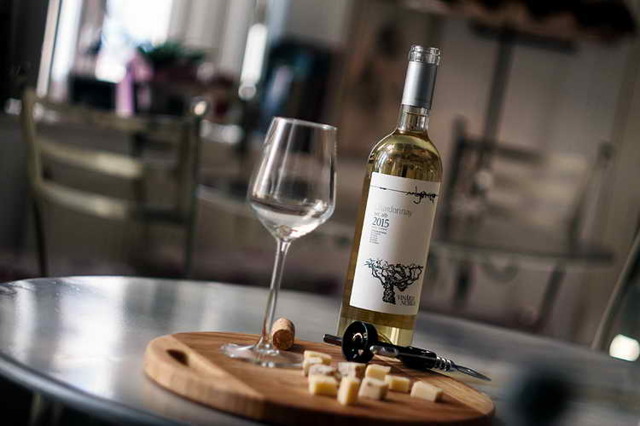 Вина Шардоне – особенности и культура употребления