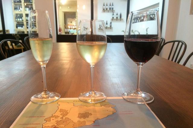 Вина Каталонии: история особенности региона, известные марки