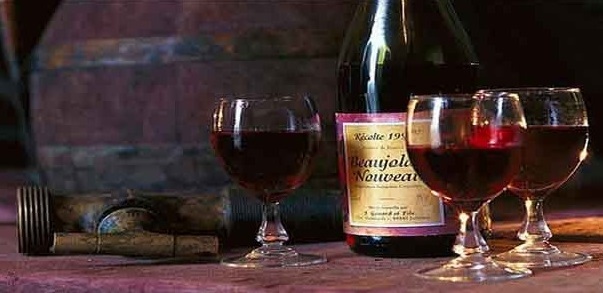 Уксус в вине – причины появления и профилактика