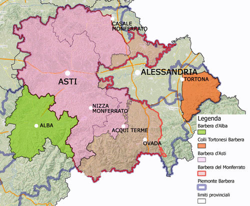 Вино Барбера: особенности, история, виды и культура пития