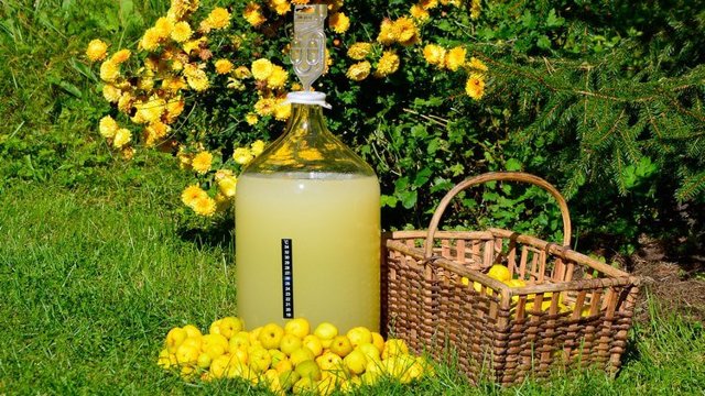 Вино из айвы в домашних условиях – простой рецепт