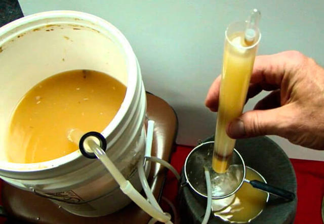 Вино из бананов в домашних условиях – рецепт приготовления