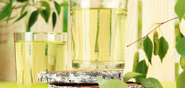 Вино из березового сока в домашних условиях