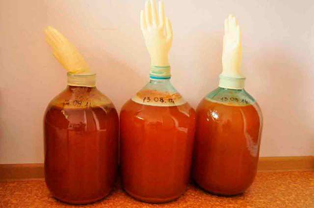 Вино из облепихи в домашних условиях - правильный рецепт