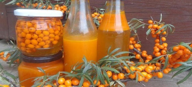 Вино из облепихи в домашних условиях - правильный рецепт